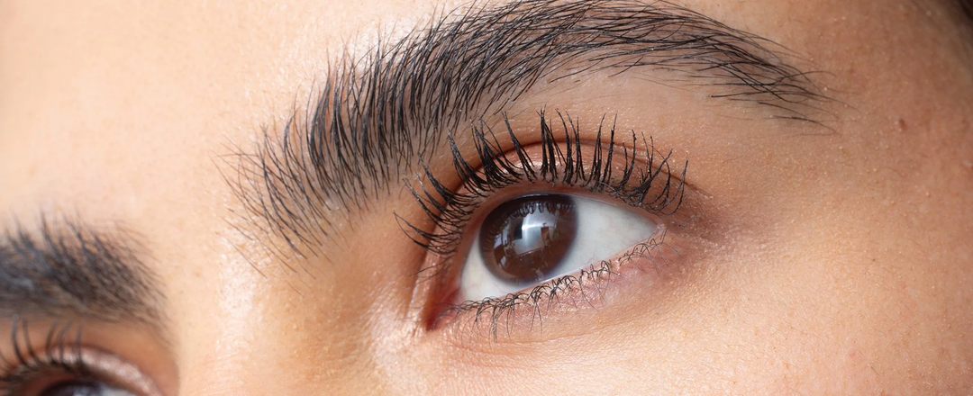 SACRED BROWS BROW & INK REVIVAL OIL