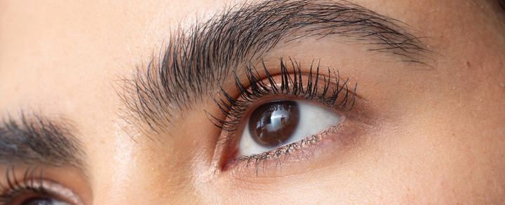 SACRED BROWS BROW & INK REVIVAL OIL